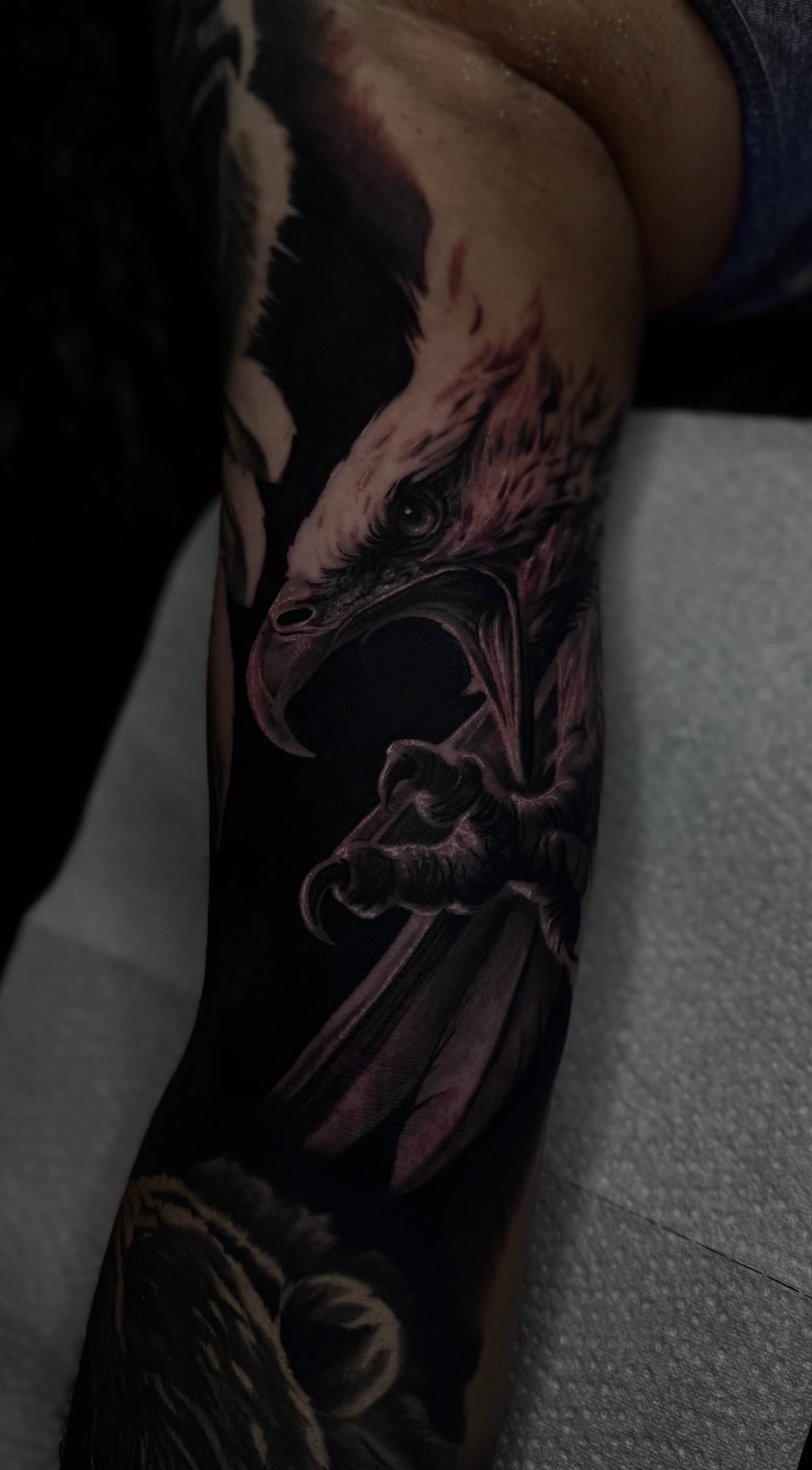 Adler Tattoo in Black & Grey am Unterarm